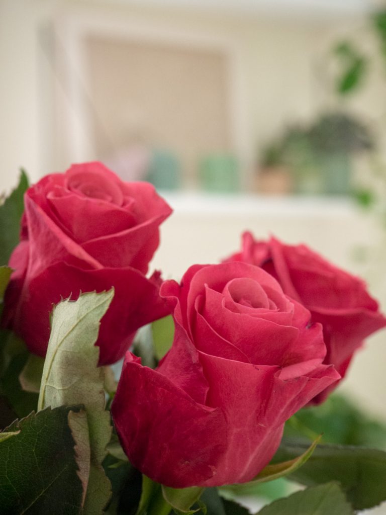 Un Jour de Neige - un bouquet de roses