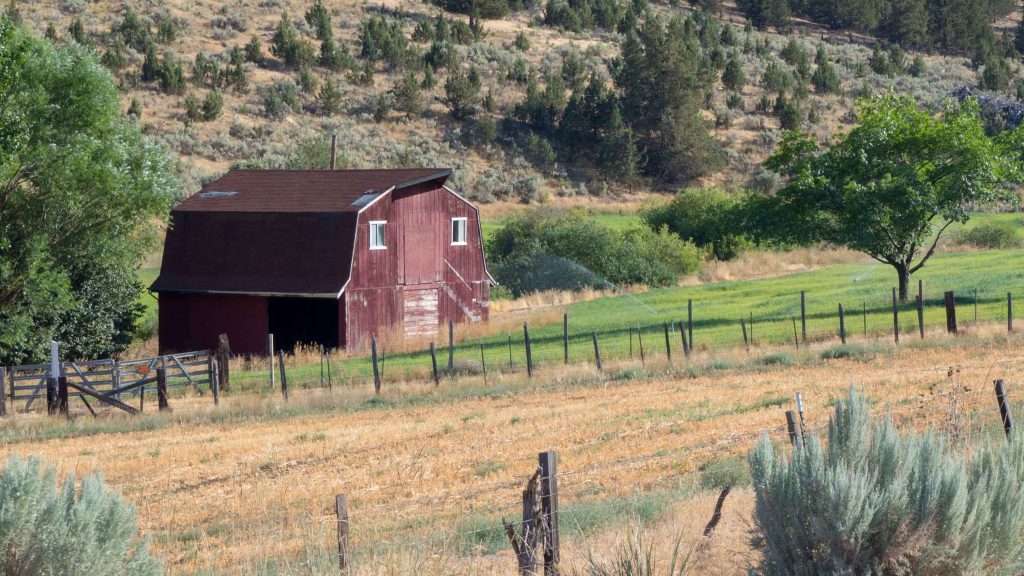 Carnet d'Amérique - Une ferme en Oregon