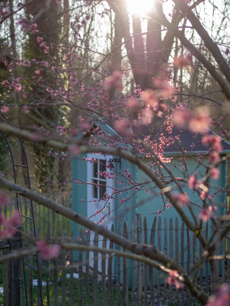 Un Jour de Neige - La cabane derrière le pêcher en fleurs
