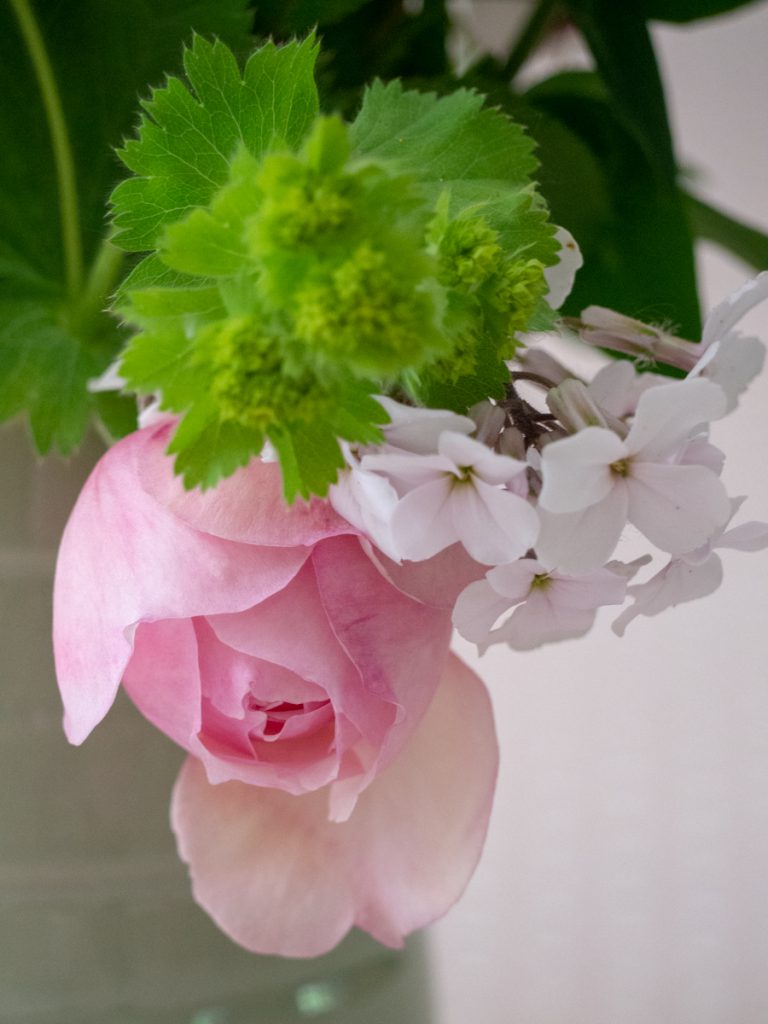 Petit carnet du dimanche - Bouquet champêtre
