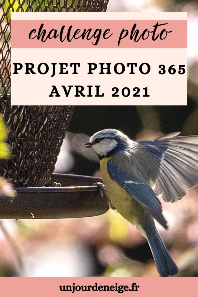 Projet photo 365 - Avril 2021
