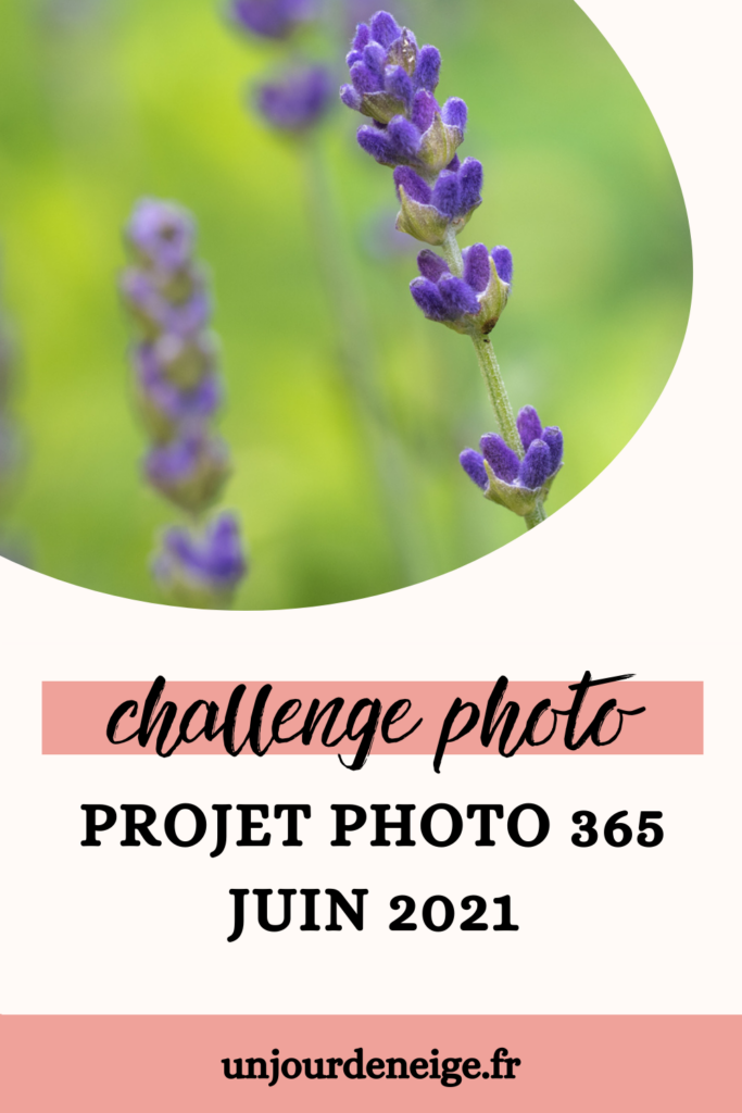 Projet photo 365 - Juin 2021