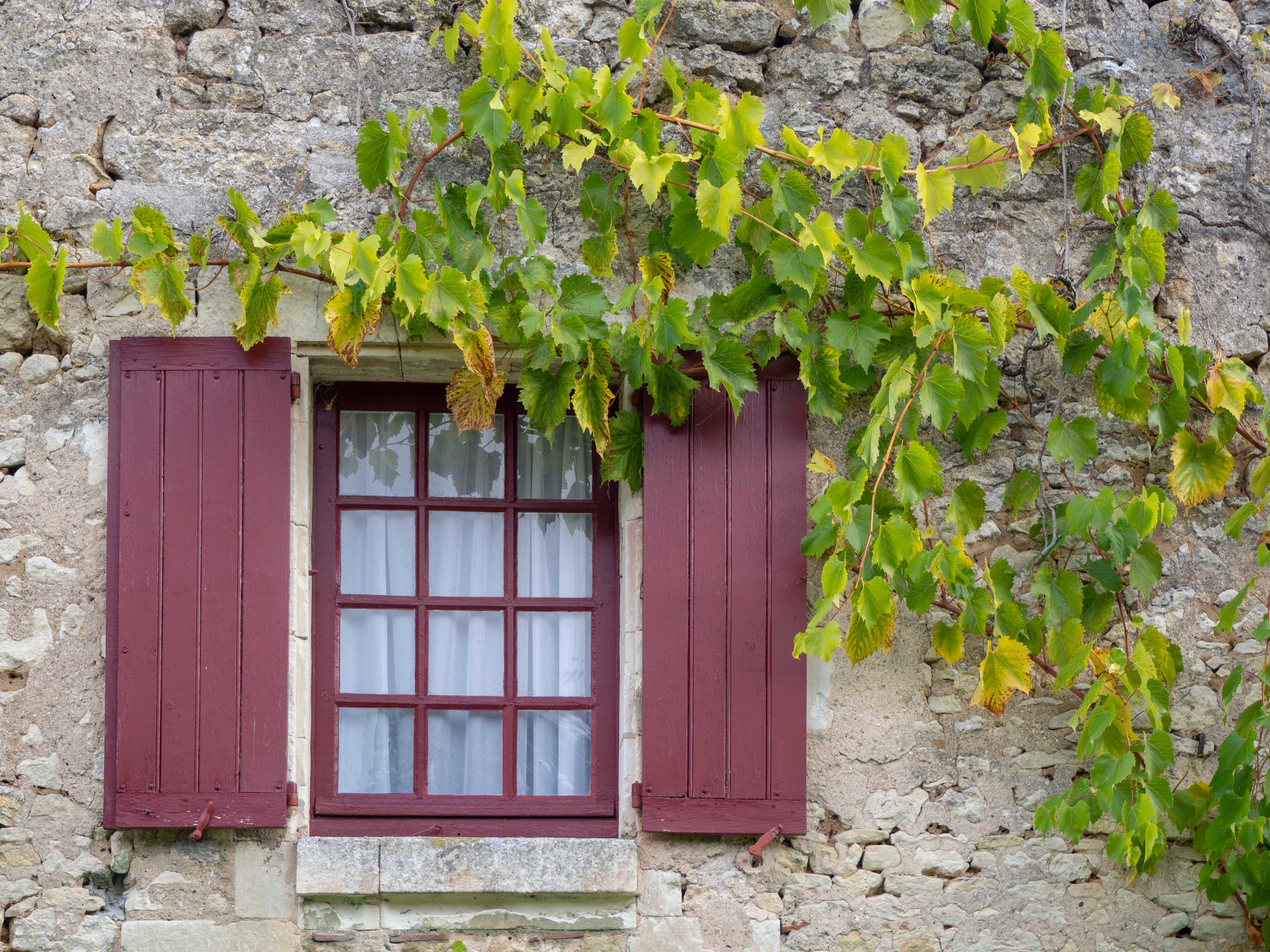 Château de Chenonceau - La ferme du XVIe siècle - Un Jour de Neige