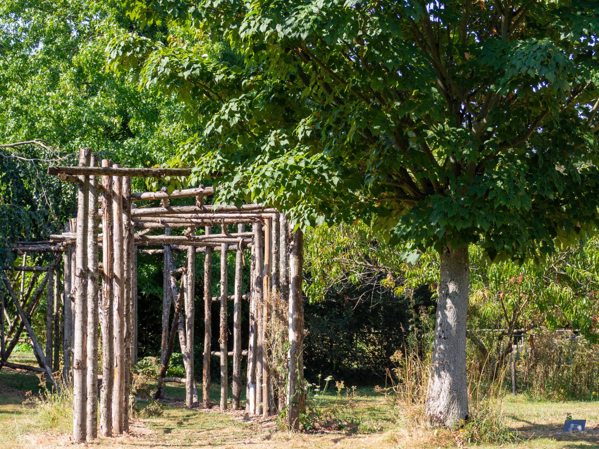 Jardin botanique Yves Rocher – La Gacilly – août 2020 – Un Jour de Neige