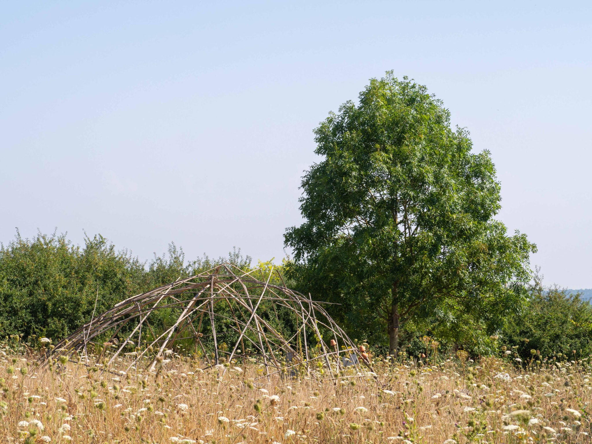 Jardin botanique Yves Rocher La Gacilly août 2020 Un Jour de Neige